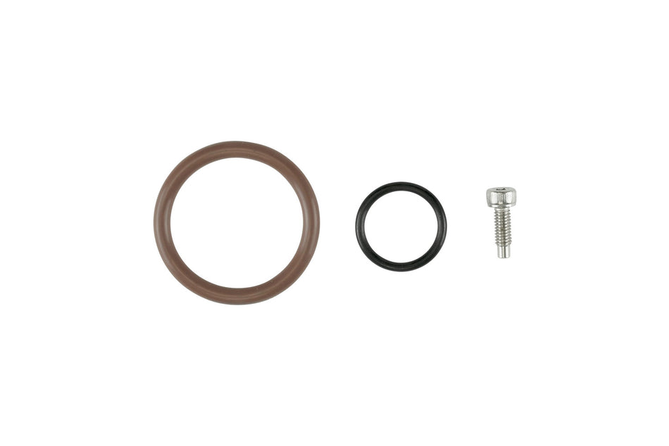 Oil Cap - LS O-Ring